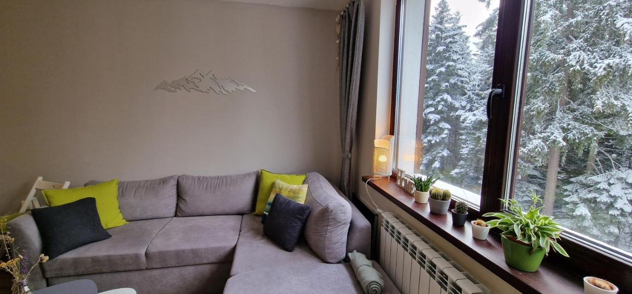 Pine Tree Apartment / Borovets Gardens Exteriör bild